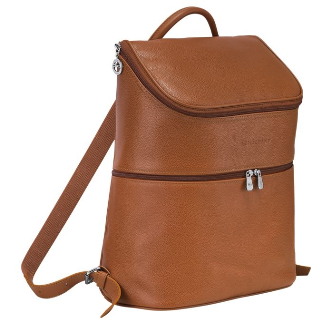 Men's Longchamp Le Foulonné Backpacks Brown | UAE-0653TR