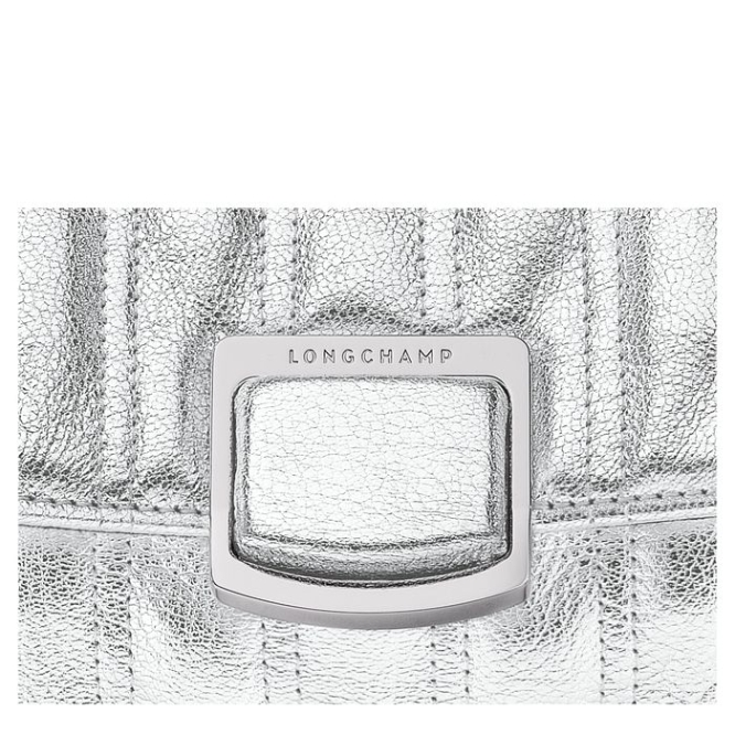 Women's Longchamp Brioche Métal S Crossbody Bags Silver | UAE-2451QP